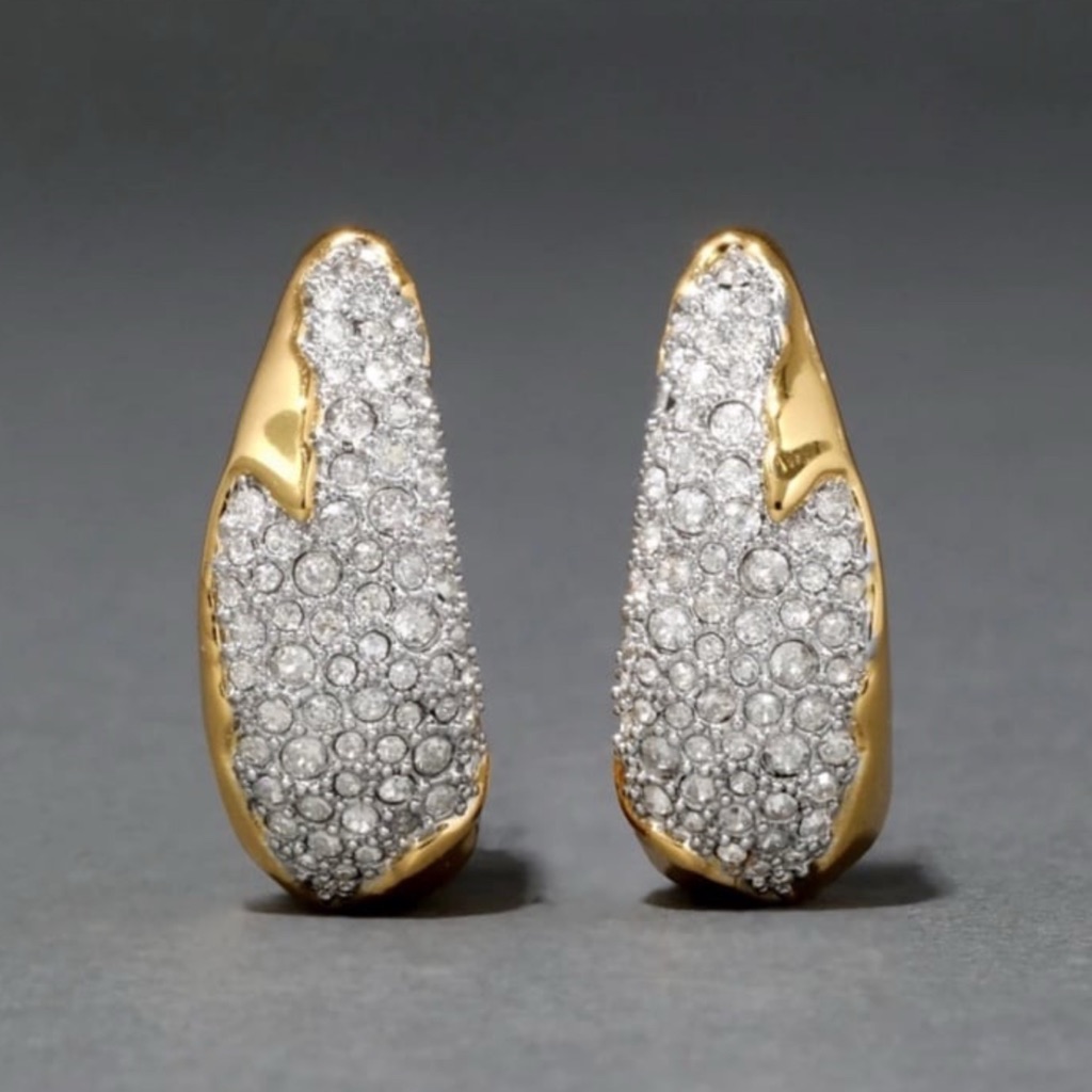Solanales Pave Crystal Sculpted Hoop Earrings Alexis Bittar F20 120$